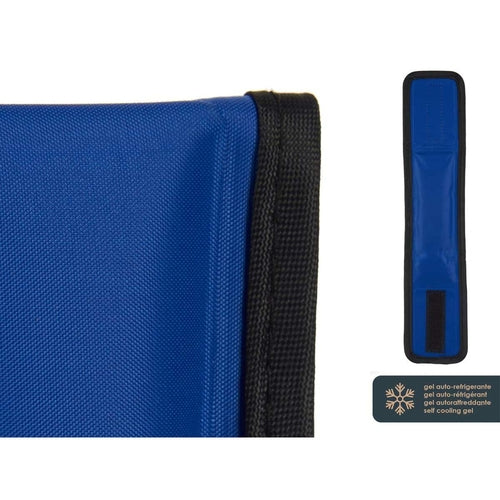 Collier rafraîchissant pour chien Coolant Noir/Bleu