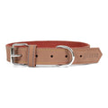 Collier chien Gloria Oasis Marron (65 x 3 cm)