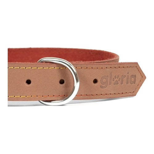 Collier chien Gloria Oasis Marron (65 x 3 cm)