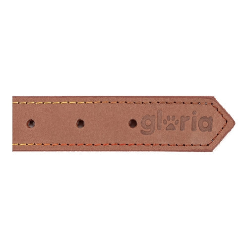 Hundehalsband Gloria Oasis Braun (65 x 3 cm)